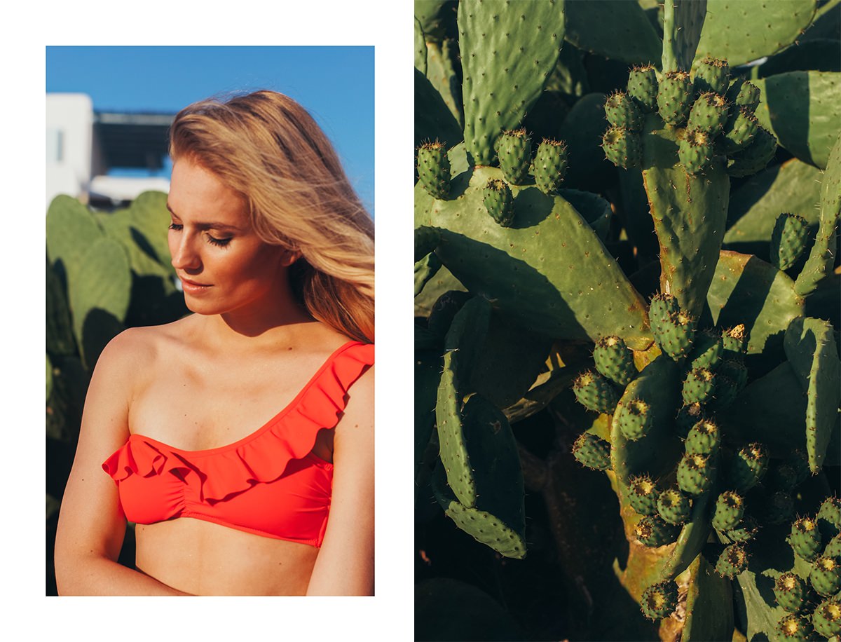 Mykonos beach guide